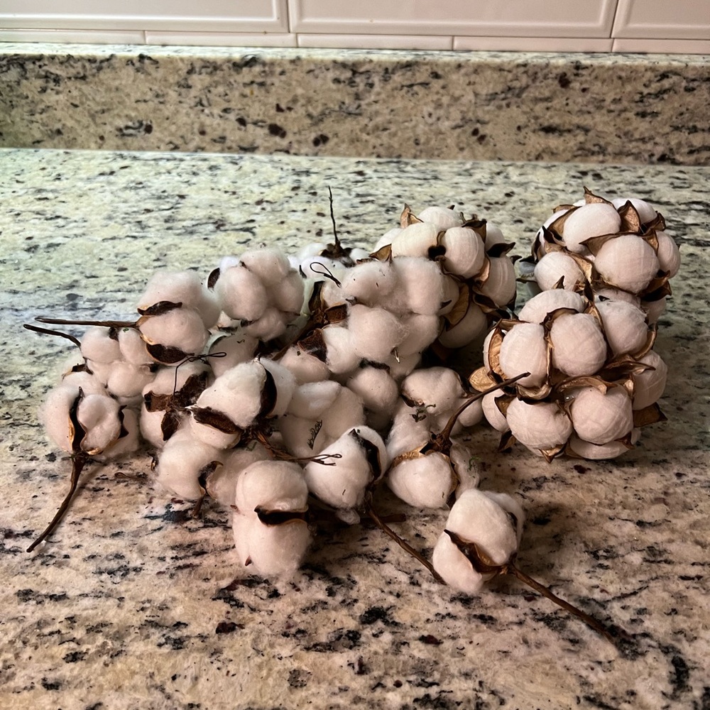 Cotton balls & cotton blooms